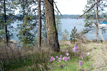 Lake Coeur d'Alene lakeside hiking.