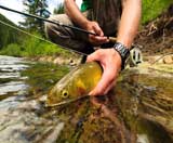 Coeur d'Alene Area fishing