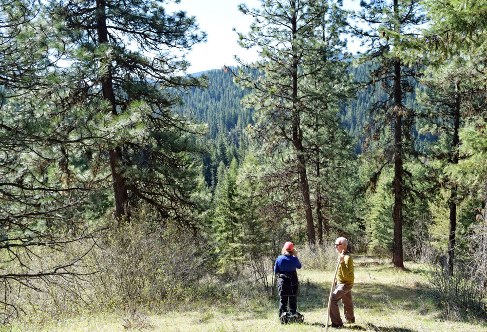 mountain vacation hiking retreat